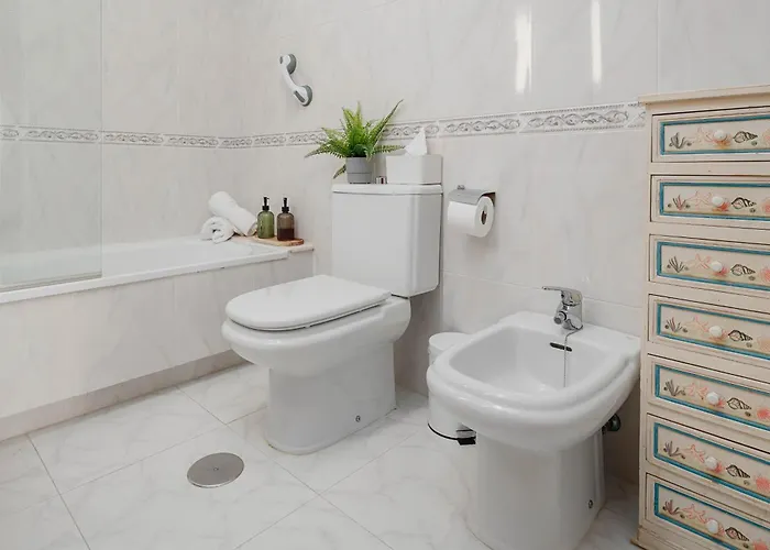 Mirador Del Tambre Etapa Final Del Camino * Sigueiro